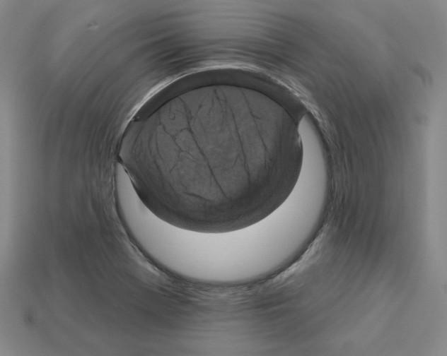 X0000113051369200910081223