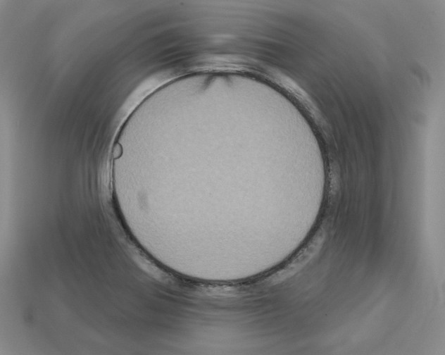X0000113051370200910081223