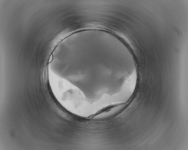 X0000113051371200910081222