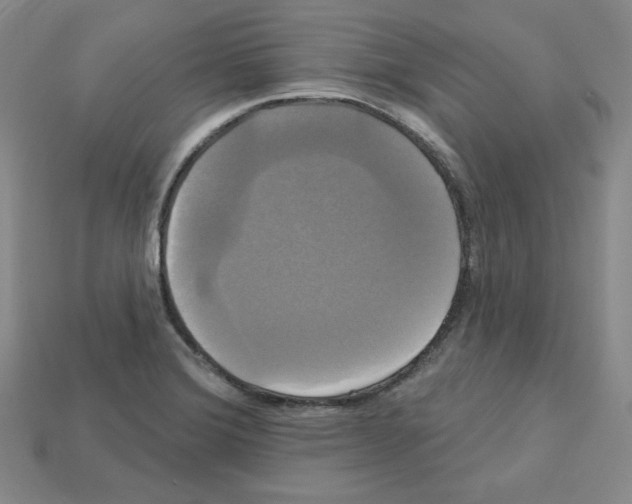 X0000113051372200910081222