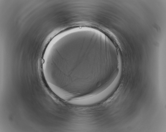 X0000113051373200910081222
