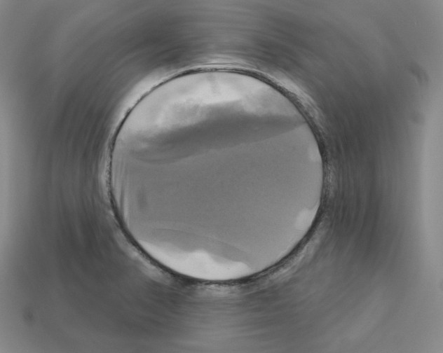 X0000113051374200910081222