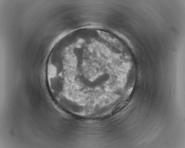 X0000113051375200910081222