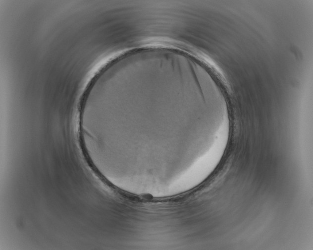 X0000113051376200910081222