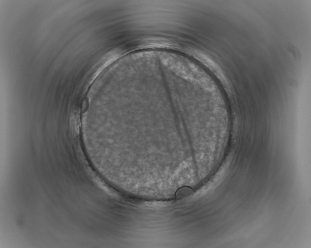X0000113051377200910081222