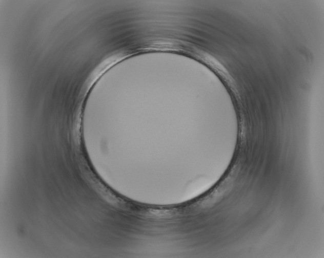 X0000113051378200910081222