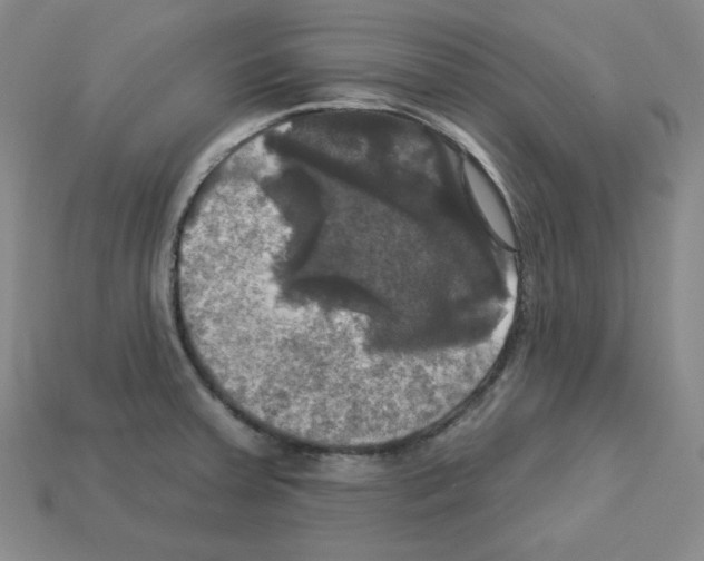X0000113051379200910081222