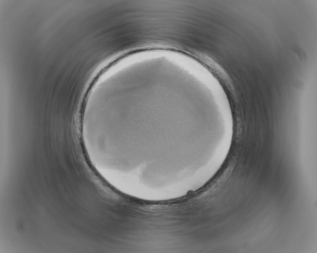 X0000113051380200910081222