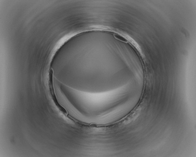 X0000113051381200910081222