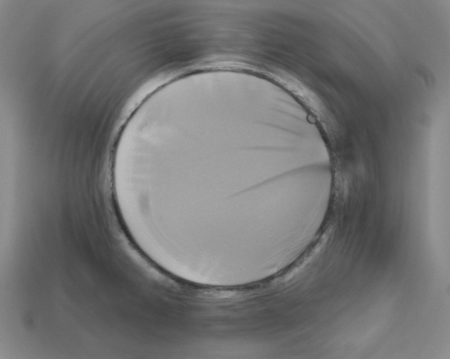 X0000113051382200910081222