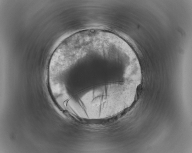X0000113051383200910081222