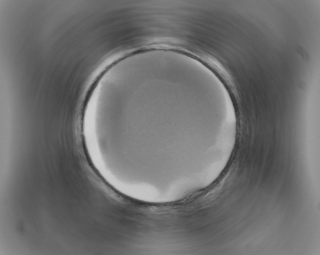 X0000113051384200910081222