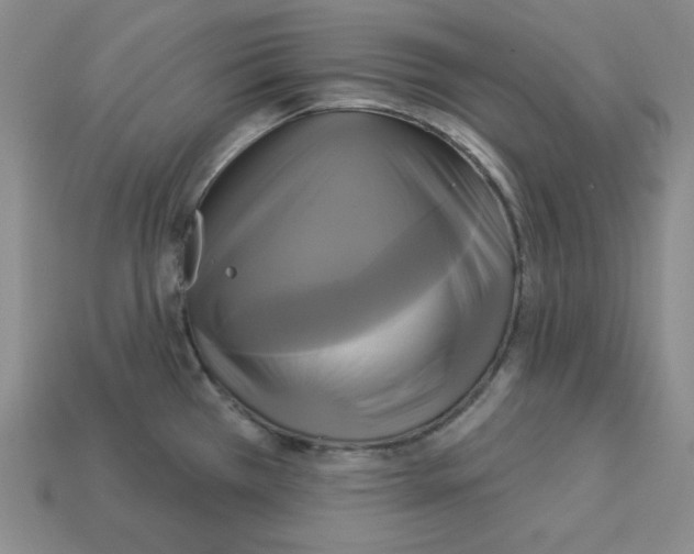 X0000113051385200910081222