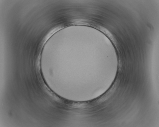 X0000113051386200910081222