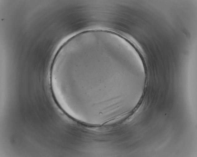 X0000113051388200910081222