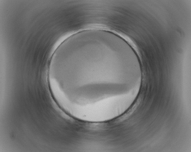 X0000113051390200910081222