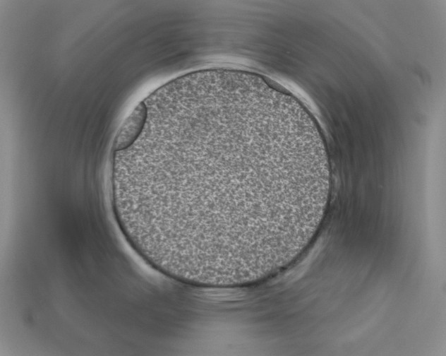 X0000113051391200910081222