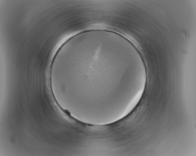 X0000113051392200910081222