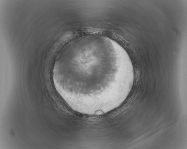 X0000113051393200910081222