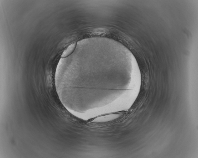 X0000113051394200910081222