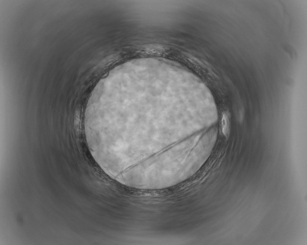 X0000113051395200910081222