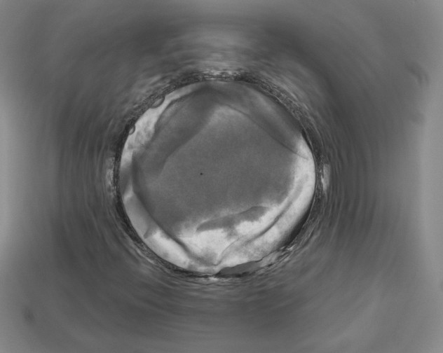 X0000113051396200910081222