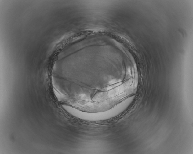 X0000113051398200910081222