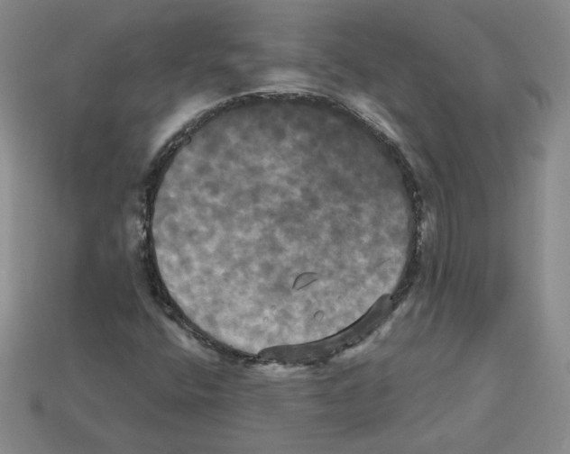 X0000113051400200910081222