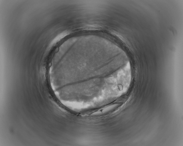 X0000113051402200910081222