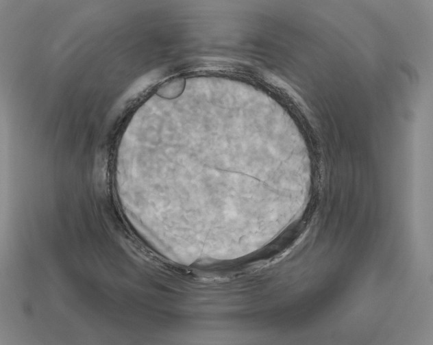 X0000113051403200910081222