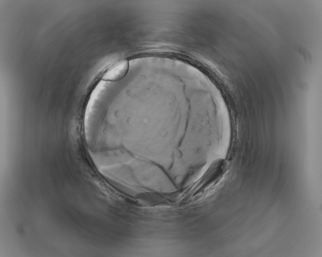 X0000113051405200910081222