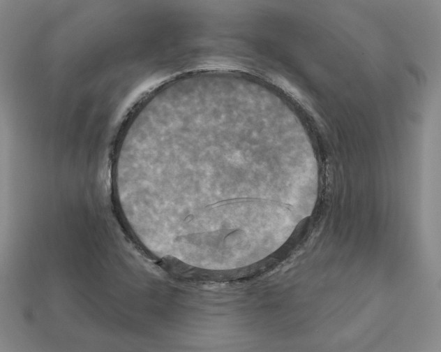 X0000113051408200910081222