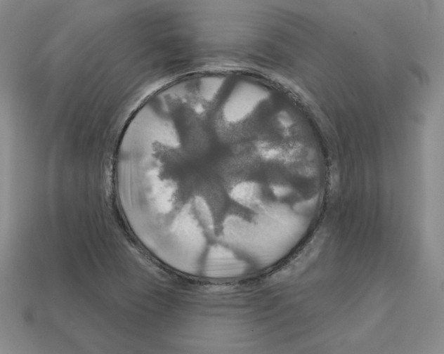 X0000113051409200910081222