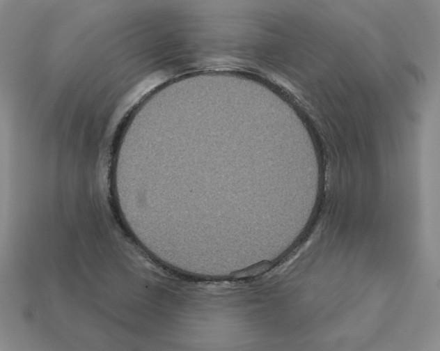 X0000113051410200910081222
