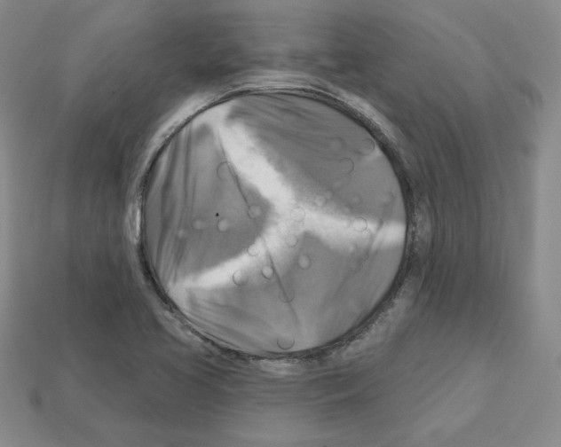 X0000113051413200910081222