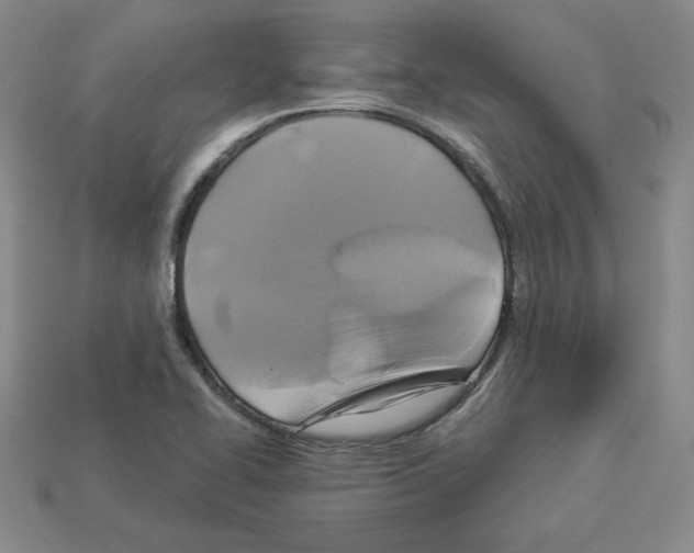 X0000113051414200910081222