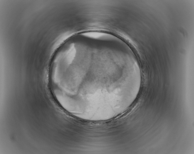X0000113051415200910081222