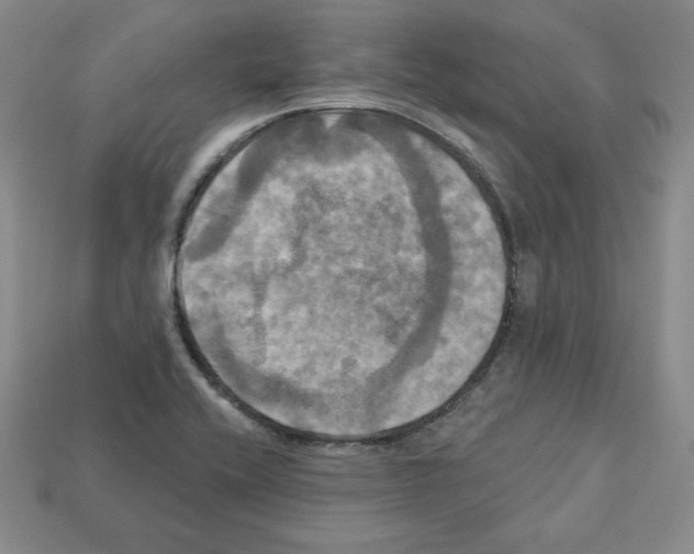 X0000113051416200910081222
