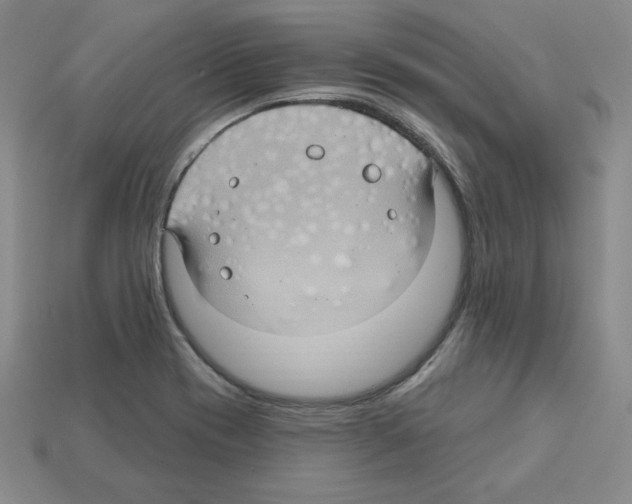 X0000113051417200910081222