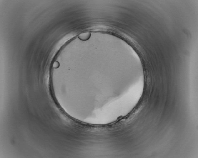 X0000113051418200910081222