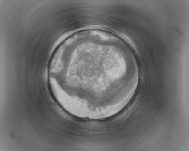 X0000113051420200910081222