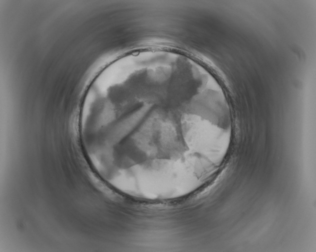 X0000113051421200910081222