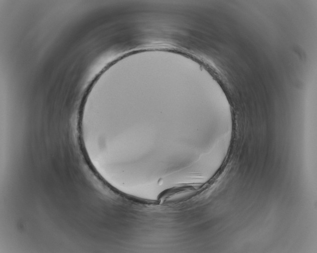X0000113051422200910081222