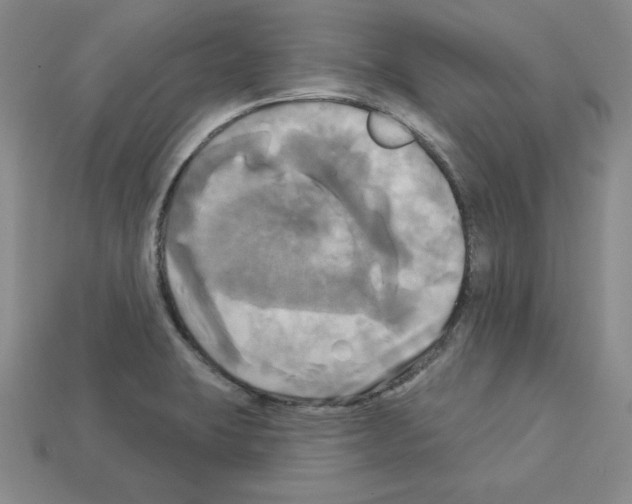 X0000113051423200910081222