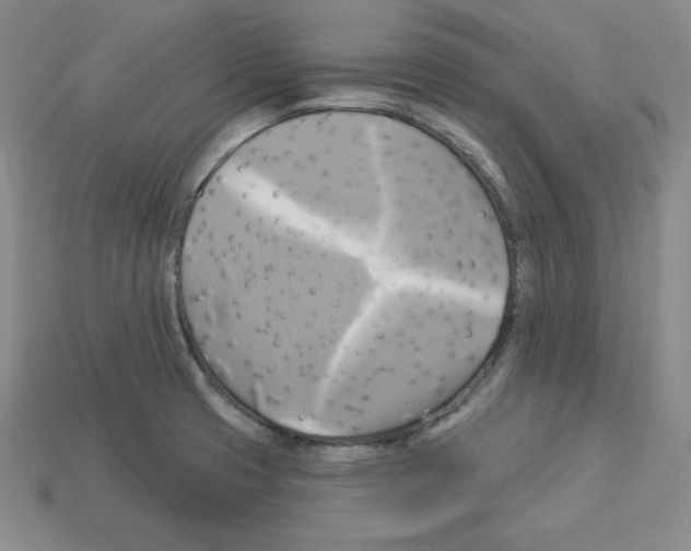 X0000113051425200910081222