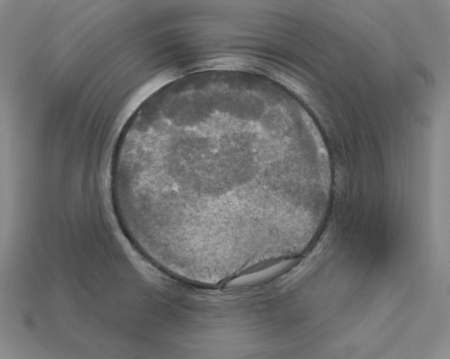 X0000113051426200910081222