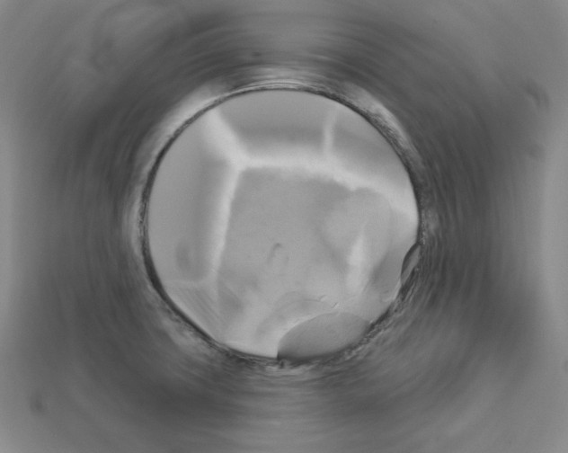 X0000113051427200910081222