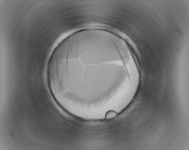 X0000113051429200910081222