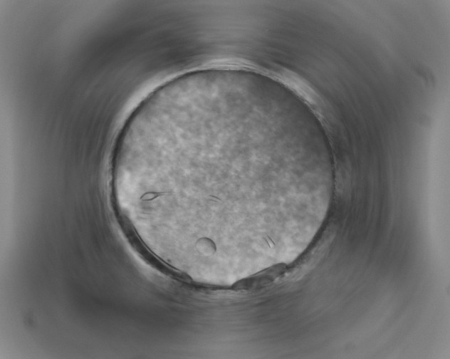 X0000113051430200910081222
