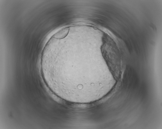 X0000113051431200910081222